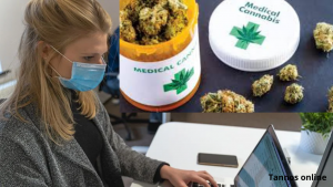 Reasons Why the Use of Cannabis has Increased During the Pandemic