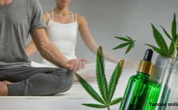 Benefits of Cannabis and Meditation